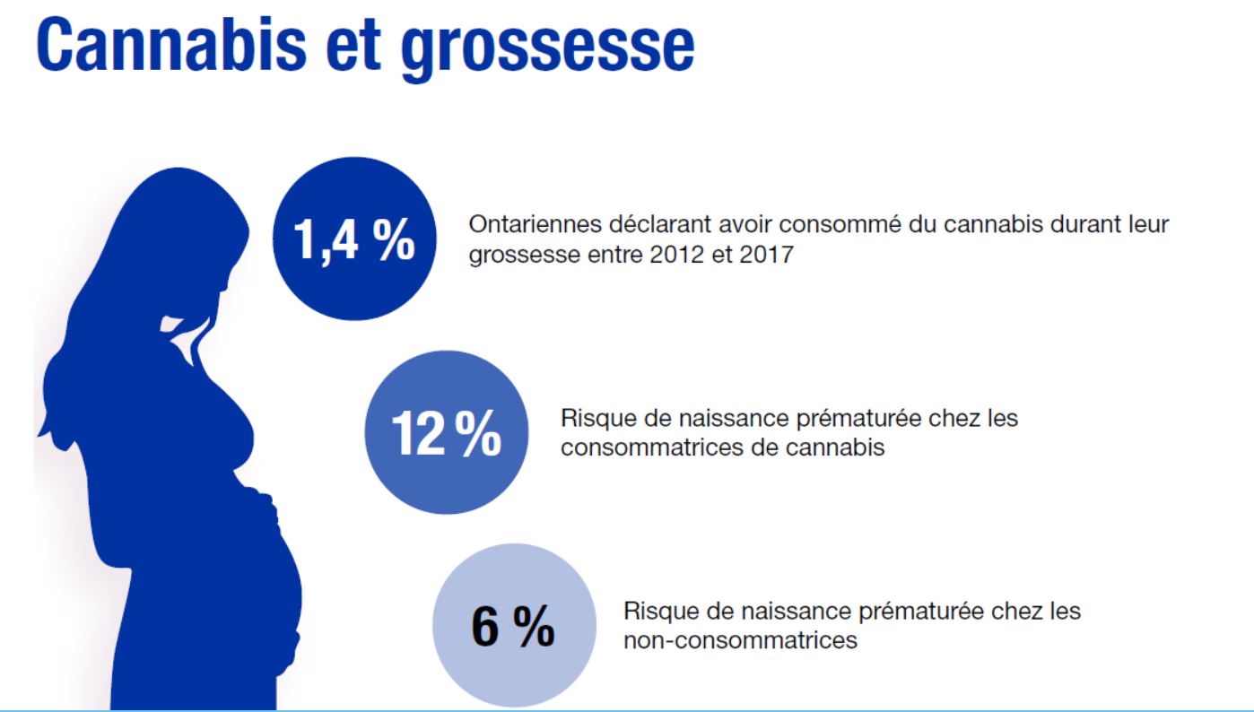 Cannabis et grossesse.1.4% Ontariennes déclarant avoir consommé du cannabis durant leur grossesse entre 2012 et 2017. 12% Risque de naissance prématurée chez les consommatrices de cannabis. 6% Risque de naissance prématurée chez les non-consommatrices